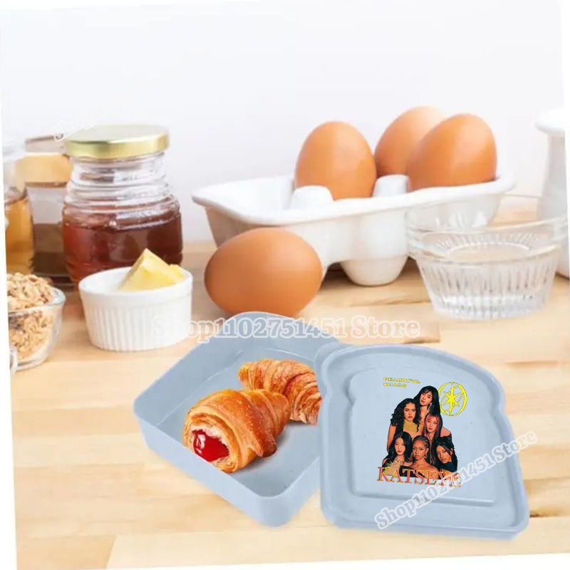 패션 K-캣시 패턴 유니섹스 샌드위치 박스 휴대용 빵  - Travel Organizer Men 리뷰 및 가격